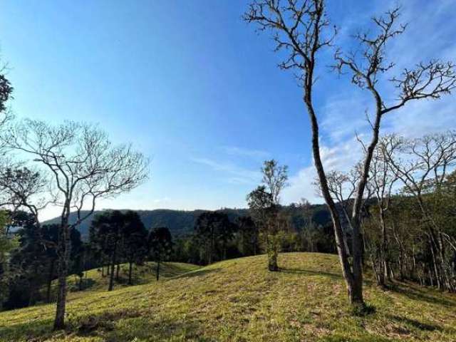 Terreno para Venda em São Bento do Sul, Rio Vermelho Povoado