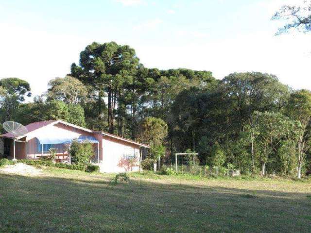 Chácara para Venda em Piên, Centro, 4 dormitórios, 3 banheiros, 1 vaga