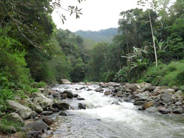 Chácara para Venda em São Bento do Sul, Área Rural de São Bento do Sul, 3 dormitórios, 1 banheiro