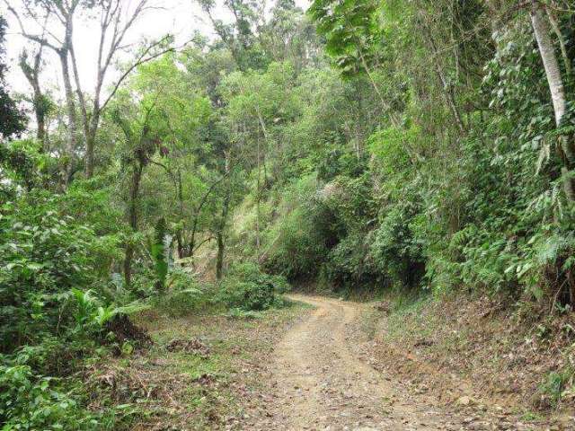 Terreno para Venda em São Bento do Sul, Rio Mandióca