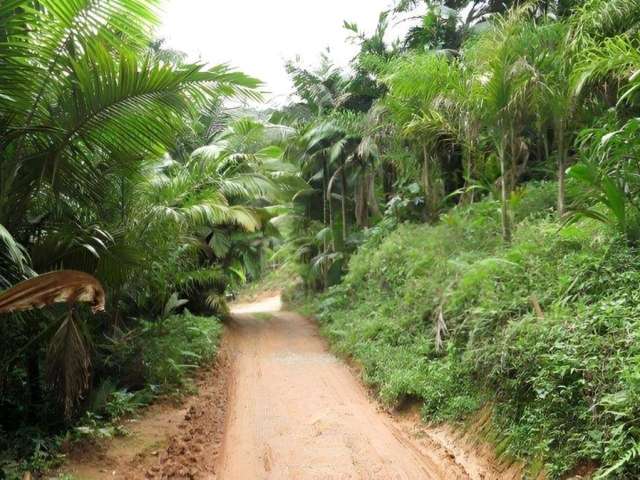 Terreno para Venda em Joinville, Pirabeiraba