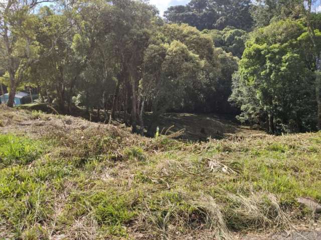 Terreno para Venda em São Bento do Sul, Centro