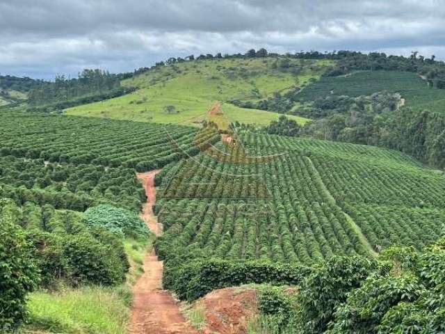 Fazenda  - Oliveira - Zona Rural