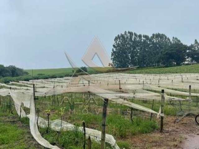 Fazenda  - São Carlos - Zona Rural