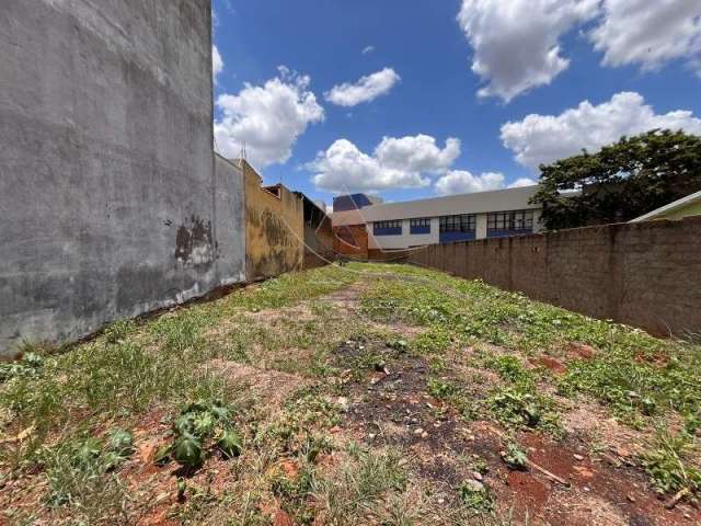 Terreno - Ribeirão Preto - Nova Ribeirânia