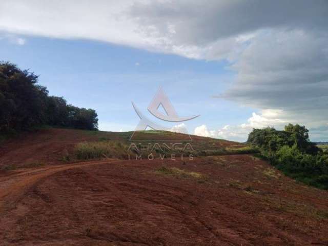 Fazenda  - Conceição do Rio Verde - Zona Rural