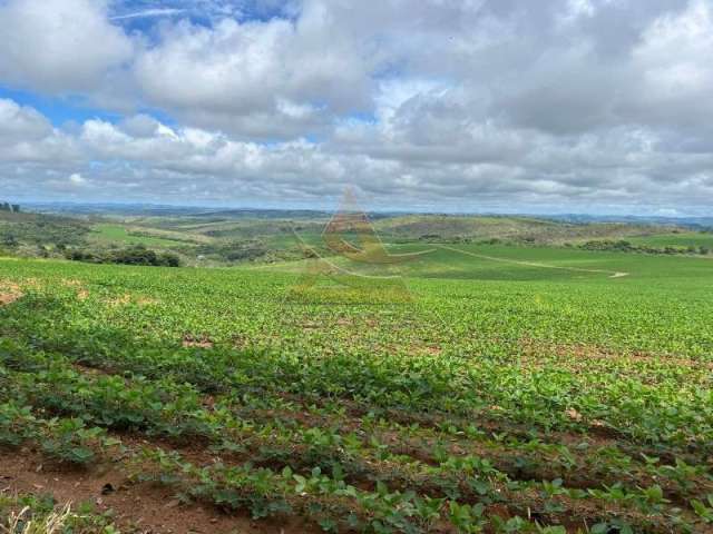 Fazenda  - Oliveira - Zona Rural