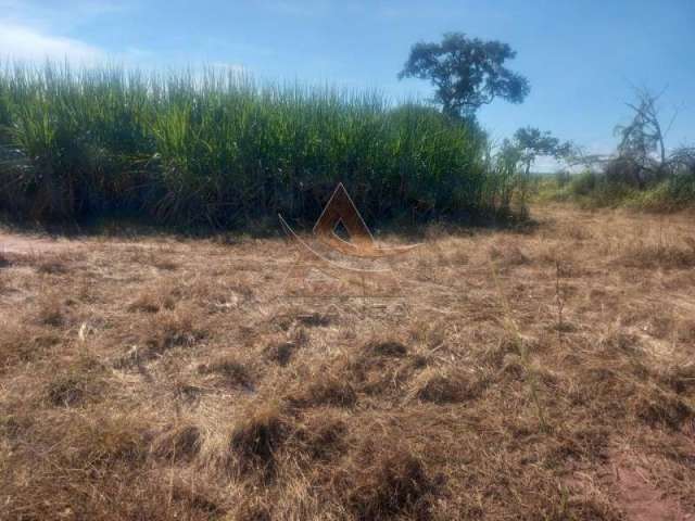 Sítio - Santo Antônio da Alegria  - Zona Rural