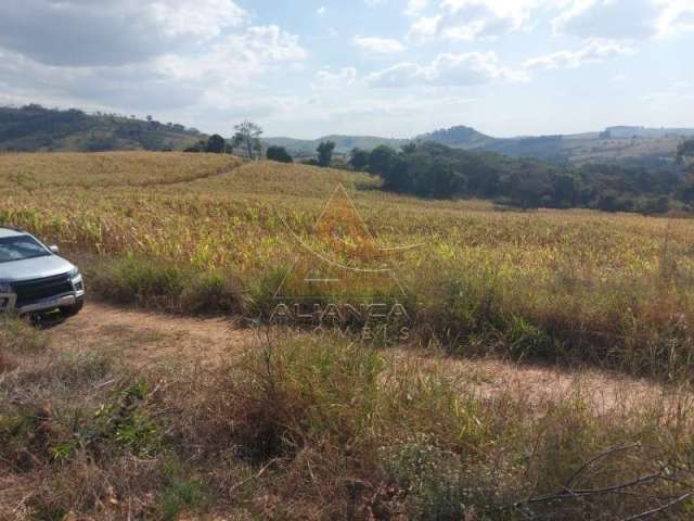 Fazenda  - Passos - Zona Rural