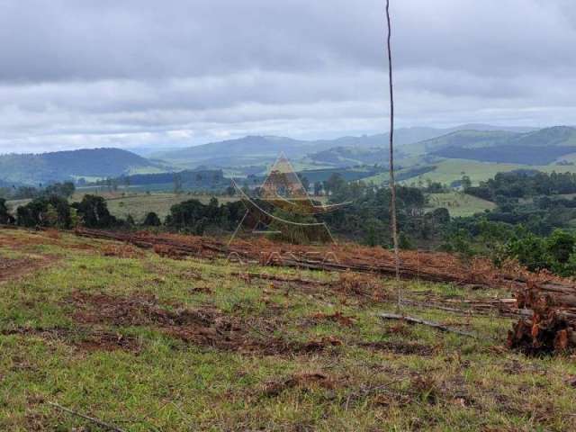 Fazenda  - Santo Antônio do Amparo - Zona Rural