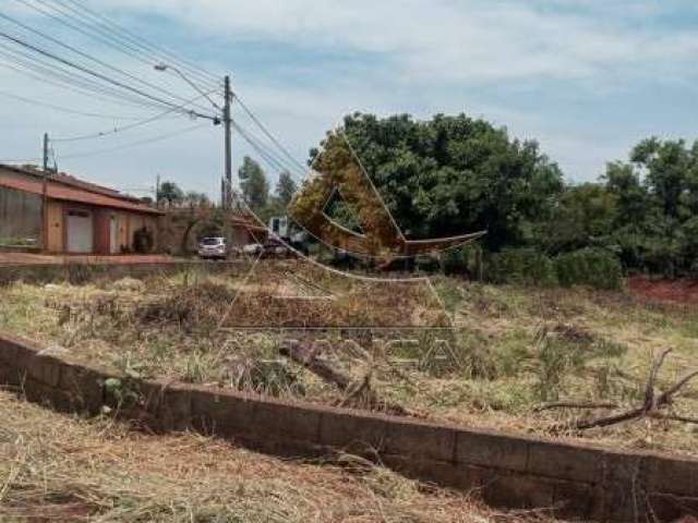 Terreno - Ribeirão Preto - Jardim Itaú