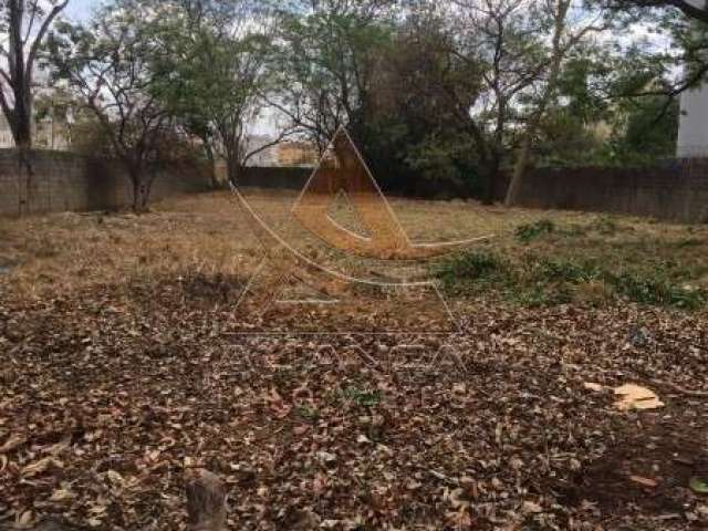 Terreno - Ribeirão Preto - Ipiranga