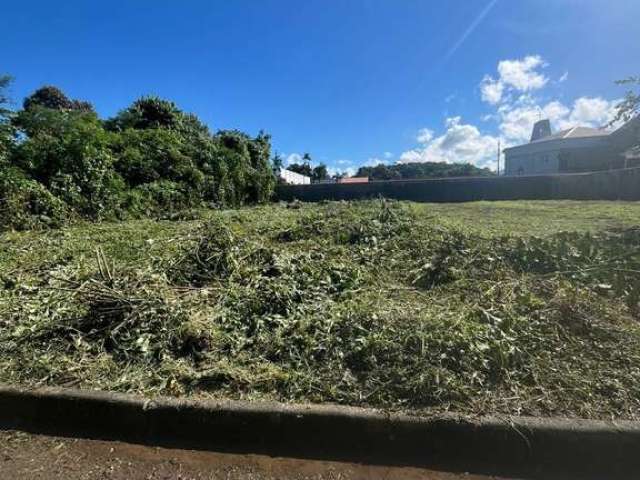 Terreno à venda na Rua Hildegard Nass, Anita Garibaldi, Joinville por R$ 525.000