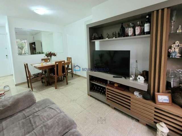 Apartamento 3 dormitórios  Jardim Celeste