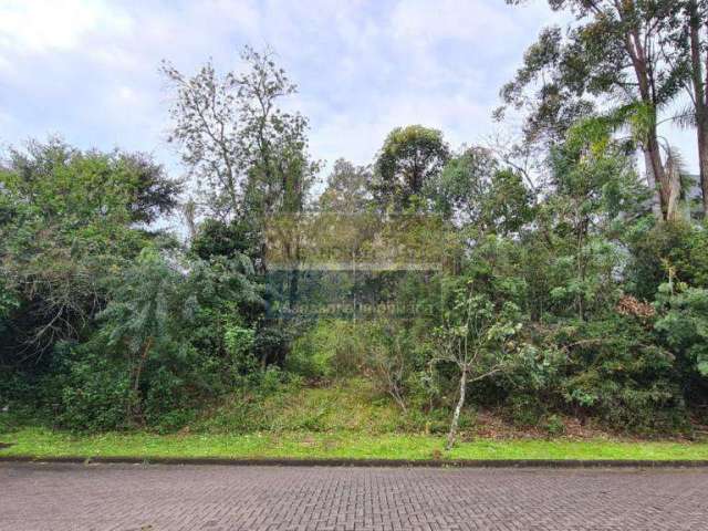 Terreno / Lote / Condomínio à venda no Bairro Condomínio Buena Vista com 660 m² de área privativa