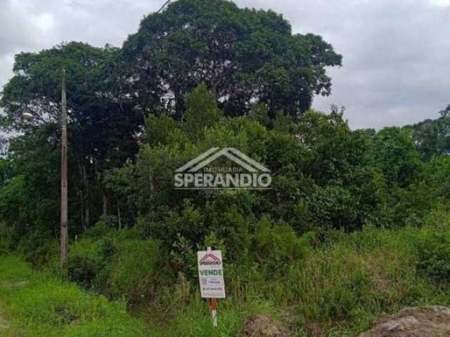 Terreno à venda, 384 m² por R$ 170.000,00 - Itamar - Itapoá/SC