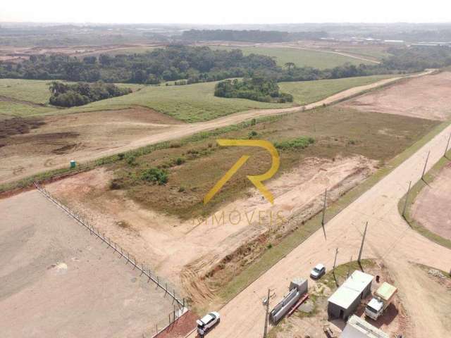 Terreno à venda, 2100 m² por R$ 750.000,00 - Eucaliptos - Fazenda Rio Grande/PR