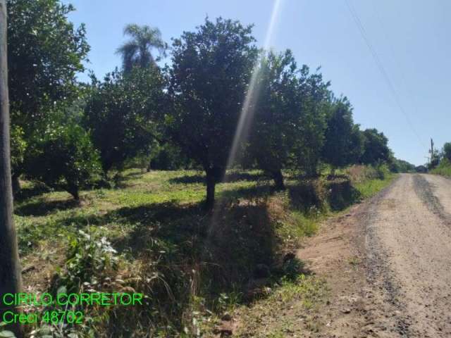 Chácara / sítio à venda na Estrada S. Jose do Maratá, s/n, Centro, São José do Sul por R$ 220.000