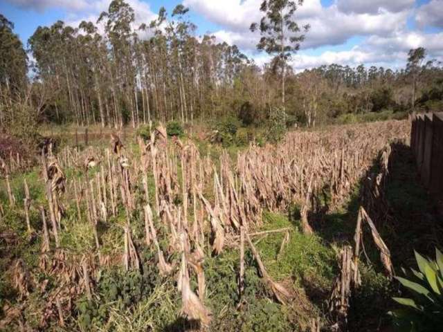 Terreno à venda - no Centro