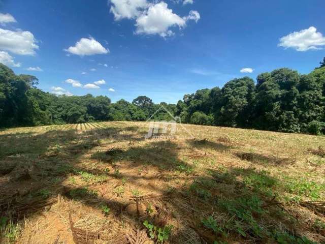 Terreno para Venda, Rondinha, Campo Largo / PR