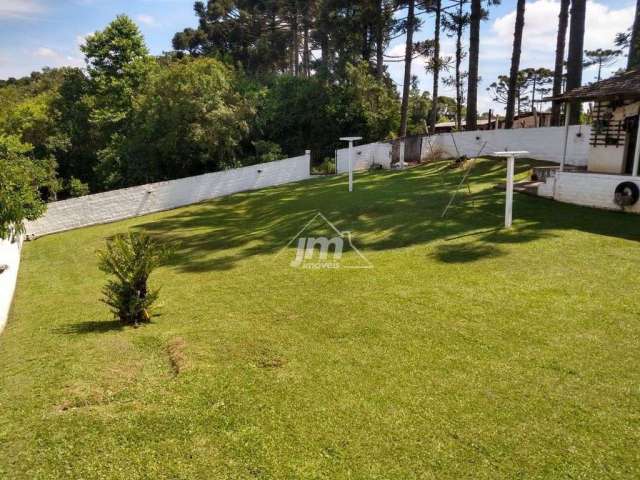 Terreno para Venda, Rondinha, Campo Largo / PR