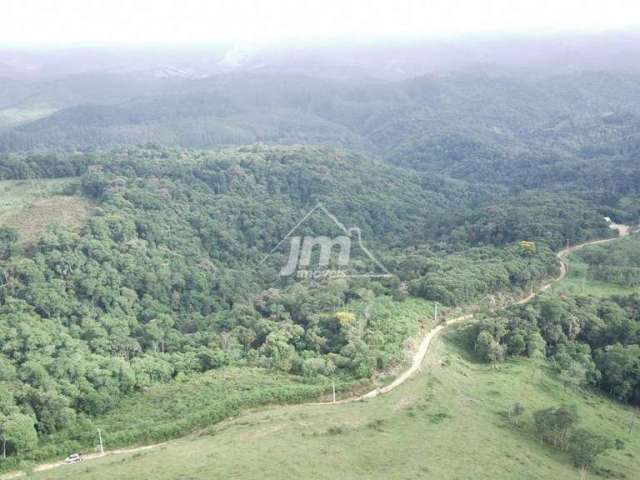 Terreno para formação de Chácaras à venda na Estrada da Ribeira – Campo Largo/PR