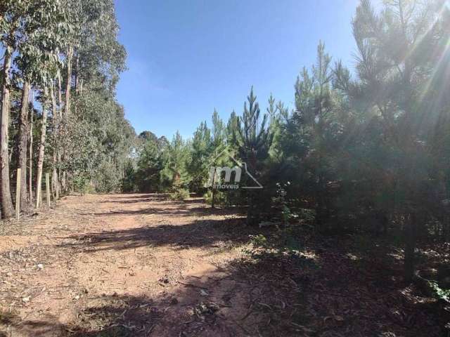 Chácara à venda no Bairro Guabiroba - Campo Largo/Pr