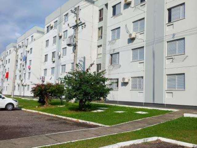 Apartamento - Santa Maria RS