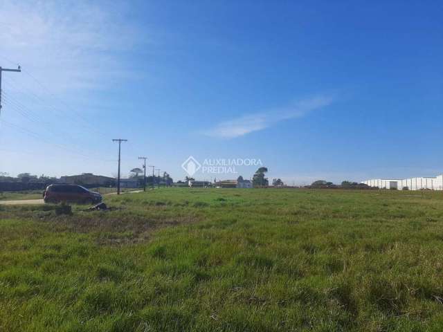 Terreno comercial à venda na Geral, s/n, 5, Alto Arroio, Imbituba, 32502 m2 por R$ 7.500.000