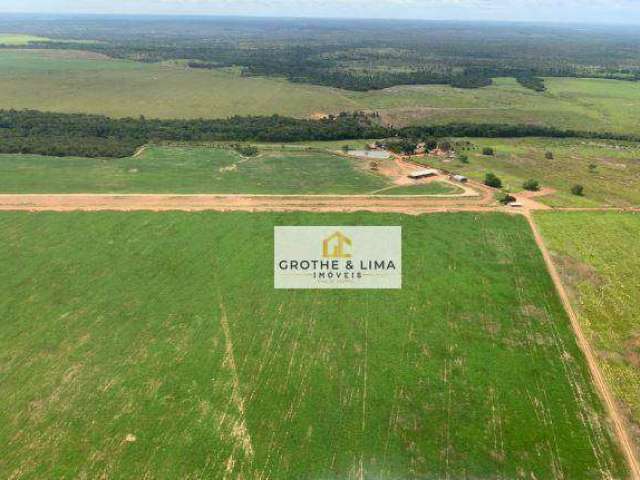 Fazenda com dupla aptidão à venda na região do município de Lagoa da Confusão - TO.