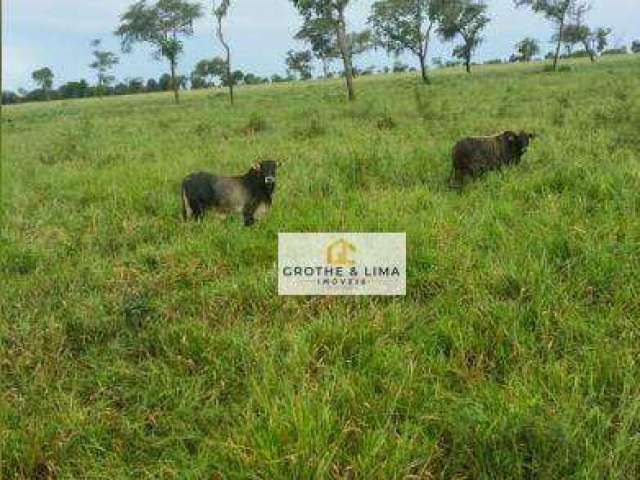 Fazenda com 1.005 hectares à venda na região do município de Campo Grande/MS.