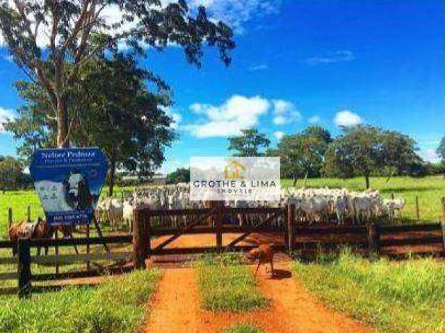 **Fazenda à Venda em Cocalinho, MT - Oportunidade de Pecuária de Alto Nível**