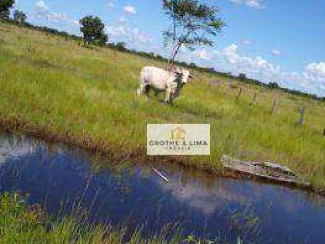 **Fazenda Espetacular de 2.637,80 Hectares em Cocalinho, MT - Uma Oportunidade Única no Campo**