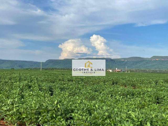 Vendo fazenda de dupla aptidão à venda no município de Monte do Carmo/TO.