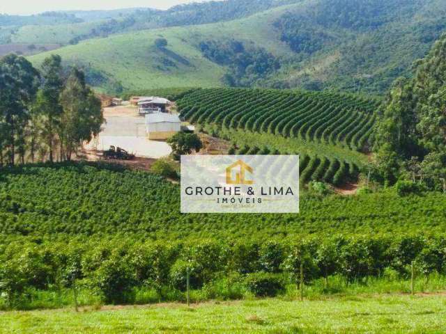 Excepcional Fazenda de Café, Leite e Grãos no Sul de Minas Gerais - 770 ha