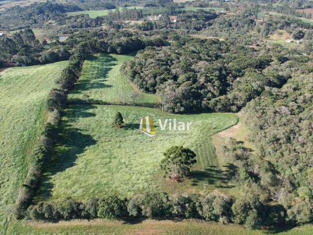 Área à venda, 55904 m² por R$ 650.000,00 - Planta Laranjeiras - Piraquara/PR