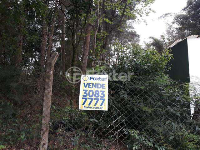 Terreno comercial à venda na Estrada das Três Meninas, 1160, Vila Nova, Porto Alegre, 904 m2 por R$ 260.000