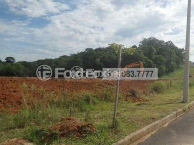 Terreno em condomínio fechado à venda na Estrada João de Oliveira Remião, 4401, Lomba do Pinheiro, Porto Alegre, 126 m2 por R$ 100.000