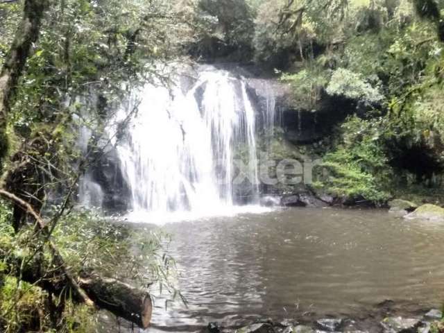 Terreno à venda na Avenida José Pedro Piva, 1000, Bosque Sinoserra, Canela, 92711 m2 por R$ 19.900.000