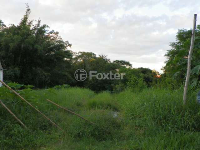 Terreno comercial à venda na Rua Bazilio Pellin Filho, 1166, Vila Conceição, Porto Alegre, 1355 m2 por R$ 600.000