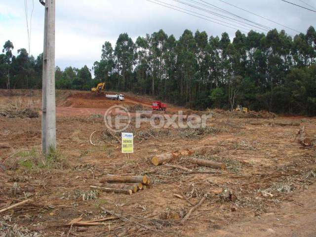 Terreno comercial à venda na Rodovia BR-386, 02, Centro, Nova Santa Rita, 2000 m2 por R$ 1.080.000