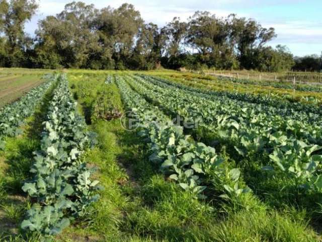 Fazenda à venda na Avenida do Lami, S/N, Belém Novo, Porto Alegre, 47228 m2 por R$ 4.000.000