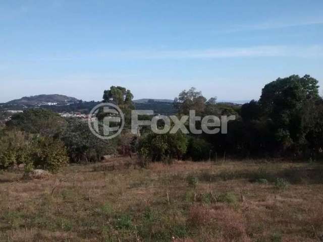 Terreno comercial à venda na Estrada das Três Meninas, 1134, Vila Nova, Porto Alegre, 7128 m2 por R$ 2.400.000