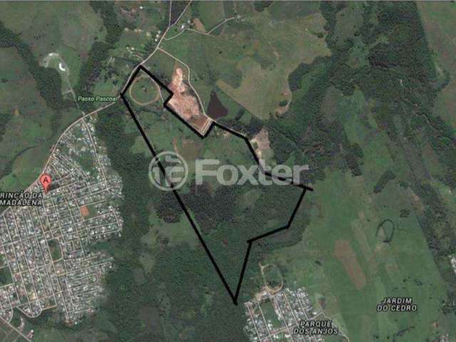 Terreno à venda na Rua Lino Estácio dos Santos, 3000, Rincão da Madalena, Gravataí, 210000 m2 por R$ 17.000.000