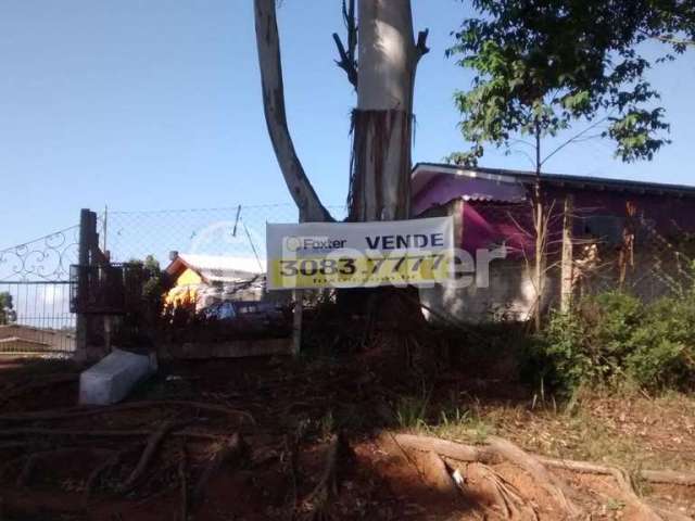 Terreno à venda na Estrada Afonso Lourenço Mariante, 2089, Belém Velho, Porto Alegre, 27000 m2 por R$ 1.250.000