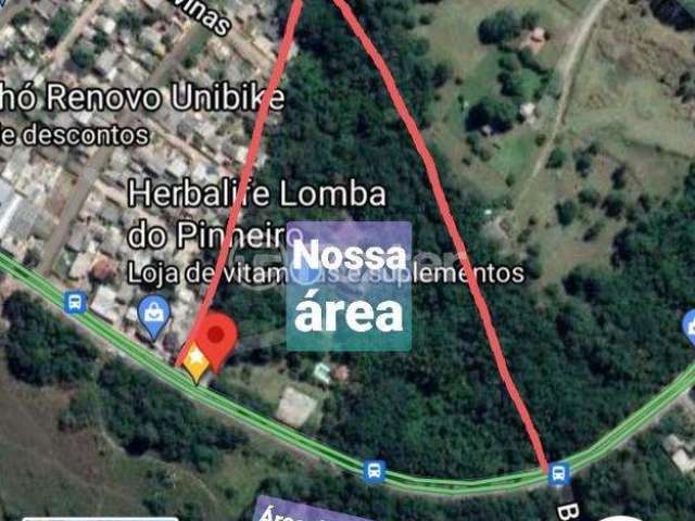 Terreno à venda na Estrada Afonso Lourenço Mariante, 5600, Lomba do Pinheiro, Porto Alegre, 25000 m2 por R$ 6.000.000