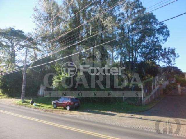 Terreno à venda na Avenida Vicente Monteggia, 2130, Cavalhada, Porto Alegre, 11664 m2 por R$ 3.000.000