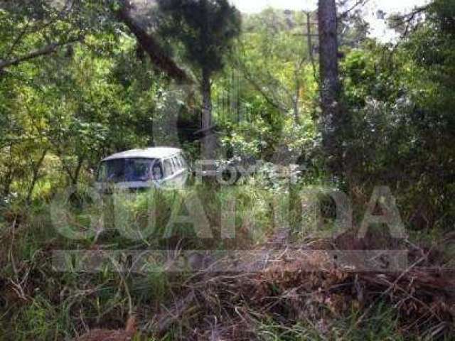 Terreno à venda na Estrada Jorge Pereira Nunes, 224, Campo Novo, Porto Alegre, 1491 m2 por R$ 380.000