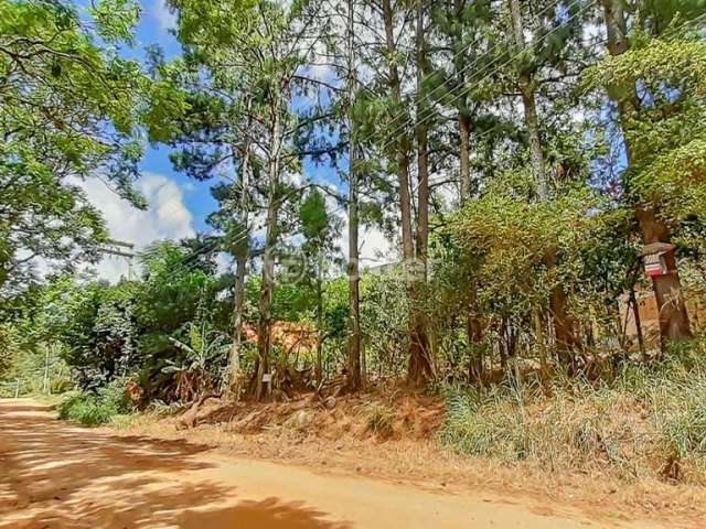 Terreno à venda na Estrada Jorge Pereira Nunes, 224, Campo Novo, Porto Alegre, 1491 m2 por R$ 380.000