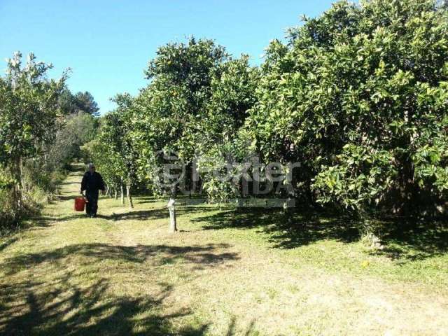 Terreno à venda na Estrada Afonso Lourenço Mariante, 2892, Belém Velho, Porto Alegre, 13935 m2 por R$ 473.100